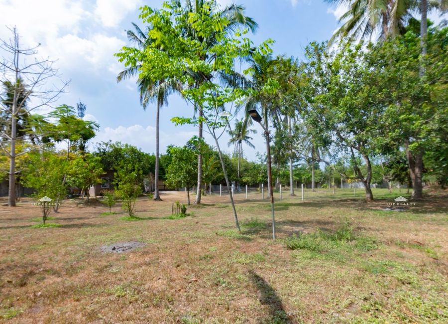 San Cristobal, San Pablo, Laguna image 2