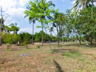 9,277 sqm Farm Lot for Sale in Laguna with Guest Houses and Pool