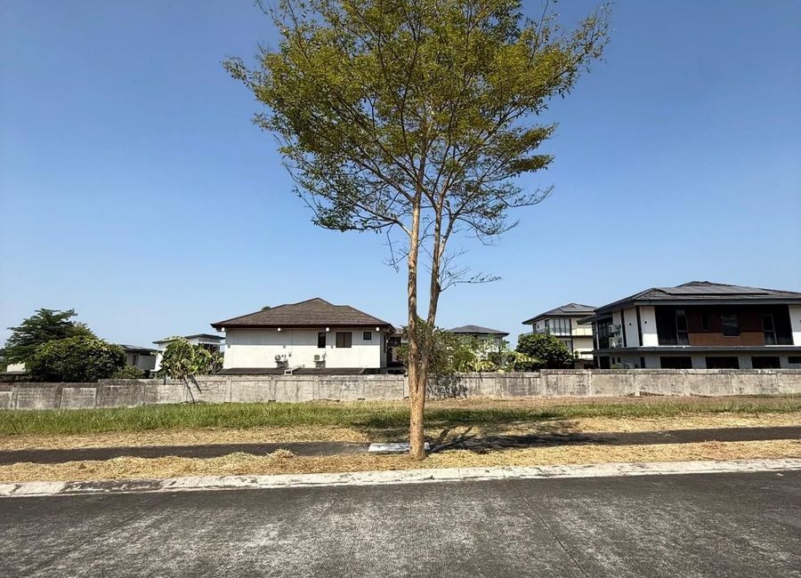 Clubhouse Drive, Inchican, Silang, Cavite image 2