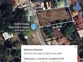 1,177 Sqm Lot For Sale in Minglanilla, Cebu, 24-m. Frontage