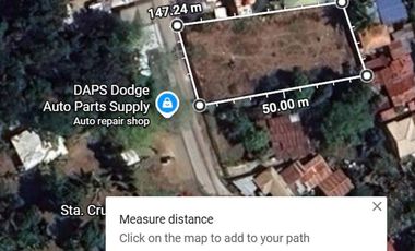 1,177 Sqm Lot For Sale in Minglanilla, Cebu, 24-m. Frontage
