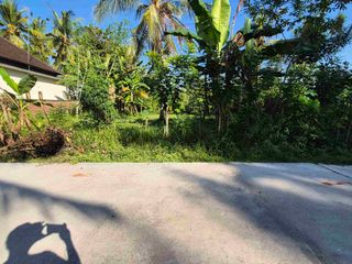 TANAH 465M2 STRATEGIS, DESA TEGAL BADENG TIMUR JEMBRANA BALI