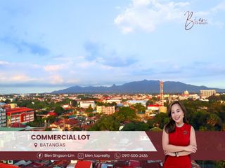 For Sale: 460, 352 SQM Commercial Lot in San Francisco, Lipa, Batangas