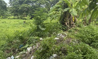 Prime Commercial Lot Near Camomot Church – 5,000 sqm Carcar Cebu