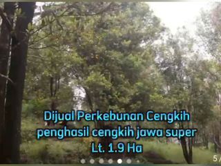 Dijual tanah kosong exs kebun cengkeh dpemalang Jawa tengah cocok untuk wisata