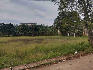 tanah pinggir jalan.