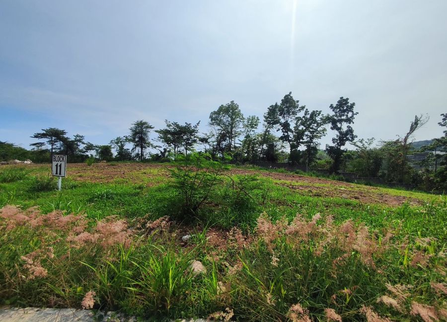Nasugbu Road, Natipuan, Nasugbu, Batangas