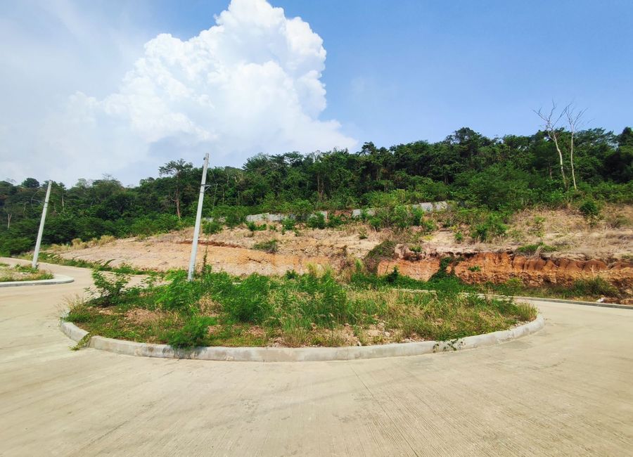 Nasugbu Road, Natipuan, Nasugbu, Batangas image 2