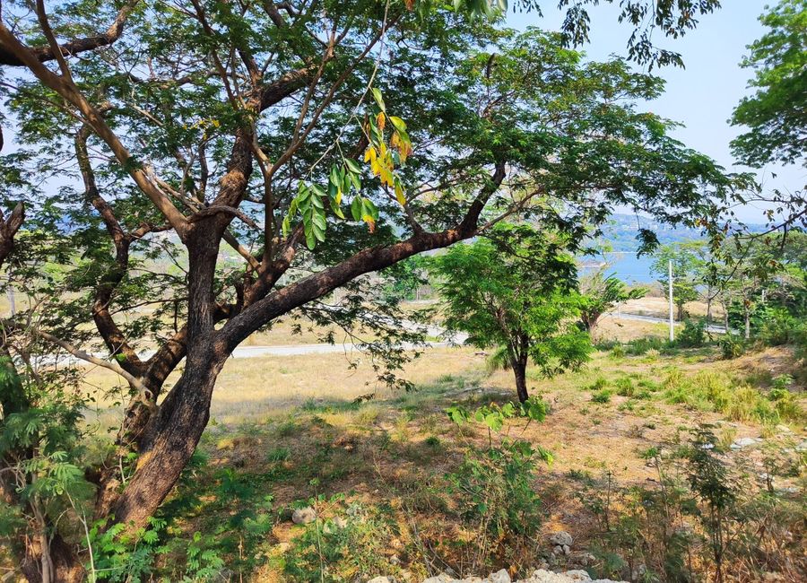 Nasugbu Road, Natipuan, Nasugbu, Batangas image 2