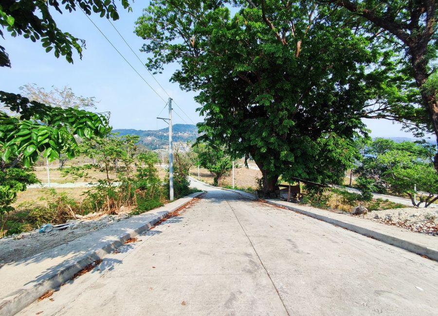Nasugbu Road, Natipuan, Nasugbu, Batangas image 3