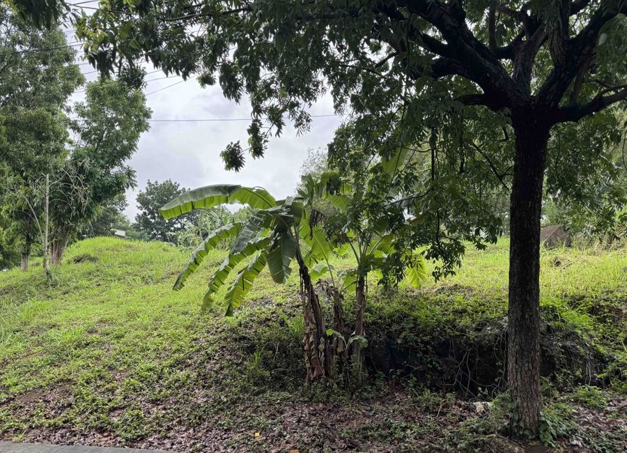 Highlands Avenue, Highlands Pointe Phase 1, Dolores, Taytay, Rizal