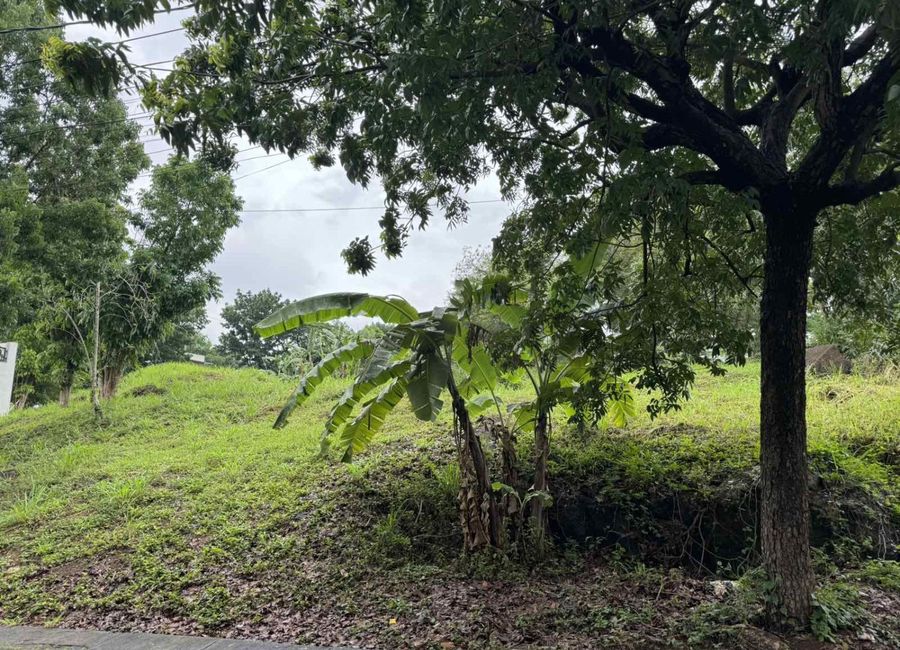 Highlands Avenue, Highlands Pointe Phase 1, Dolores, Taytay, Rizal image 2