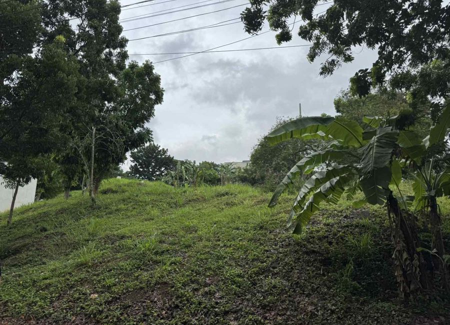 Highlands Avenue, Highlands Pointe Phase 1, Dolores, Taytay, Rizal image 3