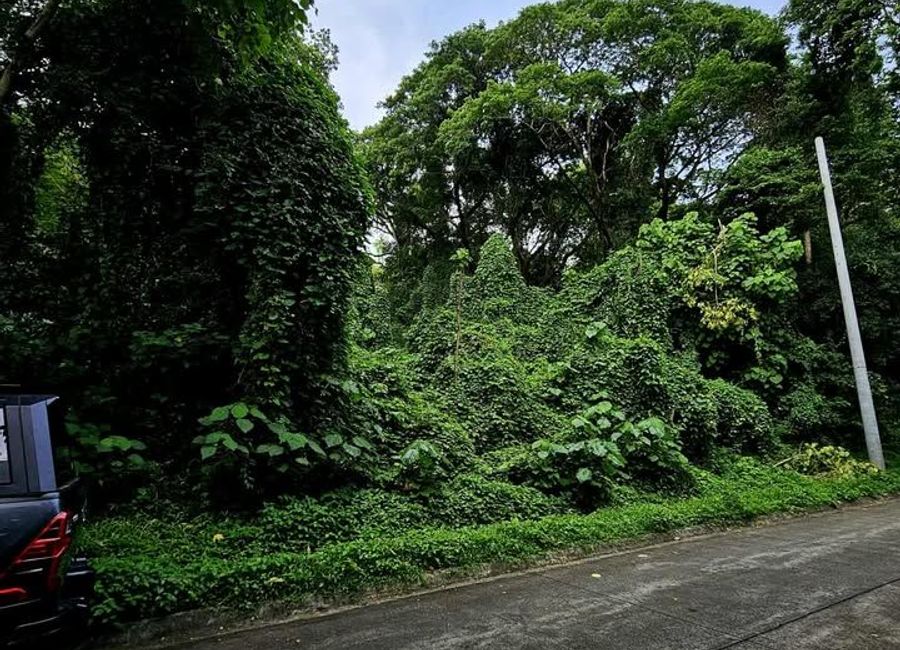Baras, Rizal image 3