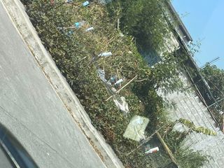 South Springs LOT for LEASE