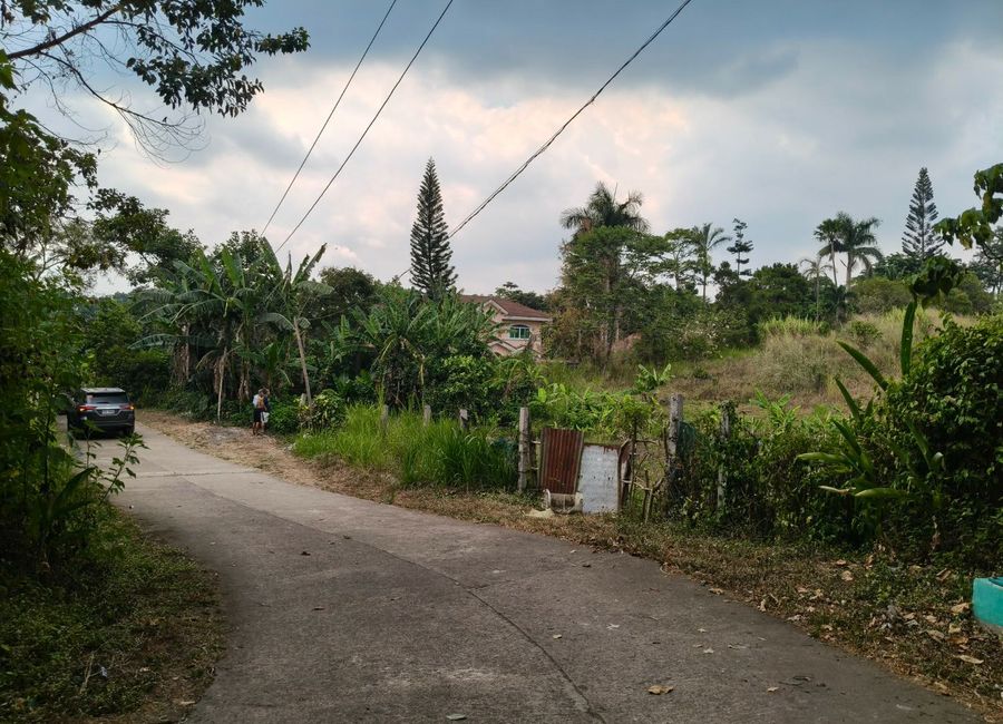 Neogan Road, Neogan, Tagaytay, Cavite