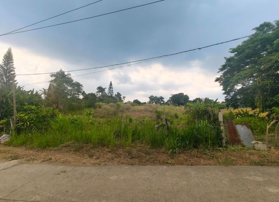 Neogan Road, Neogan, Tagaytay, Cavite image 2