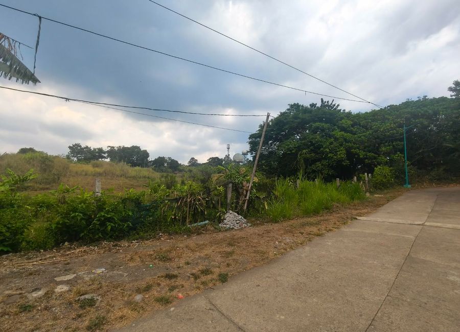 Neogan Road, Neogan, Tagaytay, Cavite image 3