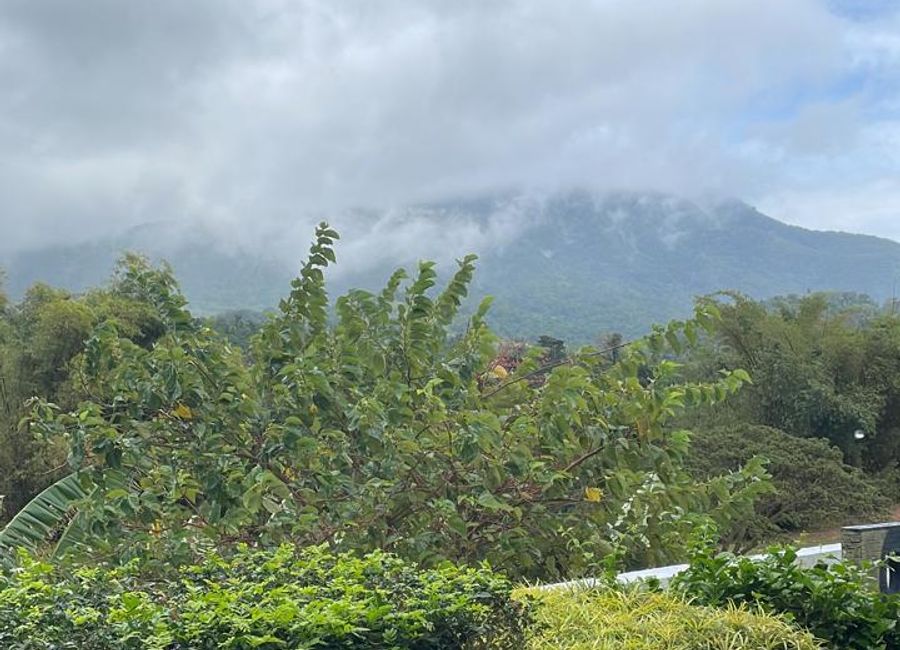 Puting Lupa, Calamba, Laguna image 2