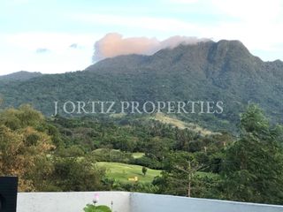For SALE: Ayala Greenfields Estate House&Lot