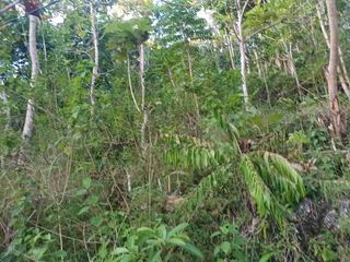 Dijual BU, sebidang tanah di Desa Klumpu, Nusa Penida Bali