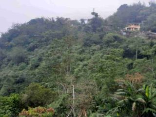 5.2 HECTARES LOT FOR SALE, MARCOS HIGHWAY, TALOY NORTE