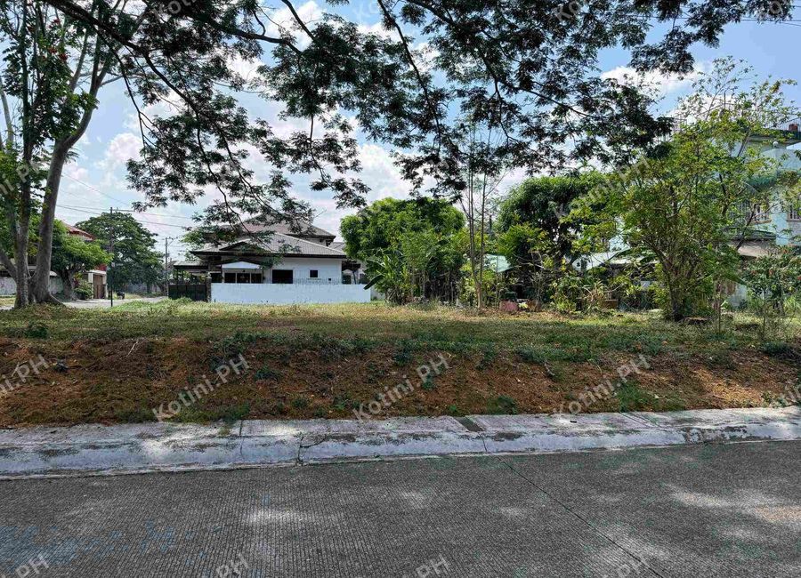 Savanna Street, Santo Domingo, Santa Rosa, Laguna