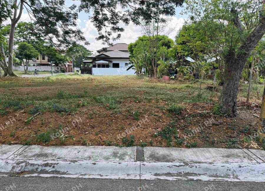Savanna Street, Santo Domingo, Santa Rosa, Laguna image 2