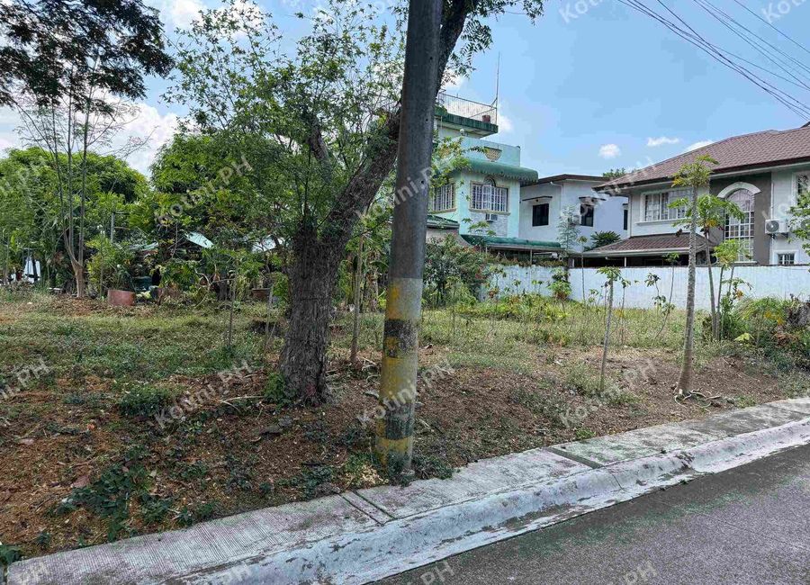 Savanna Street, Santo Domingo, Santa Rosa, Laguna image 3