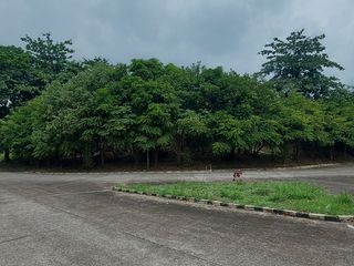 Newly Reduced Price! The Ultimate Ready-to-Enjoy Farm Estate: 1,377 sqm of Prime Land Featuring Over 15 Varieties of Fruit and Hardwood Trees