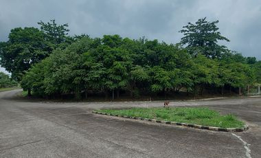 Newly Reduced Price! The Ultimate Ready-to-Enjoy Farm Estate: 1,377 sqm of Prime Land Featuring Over 15 Varieties of Fruit and Hardwood Trees