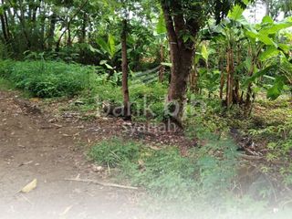 RUMAH ASETKU – ASTANAJAPURA (Tanah) KABUPATEN CIREBON