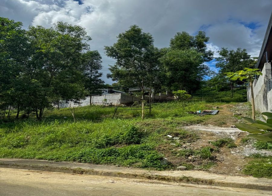 Baras, Rizal image 2