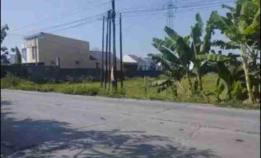 Lahan Bagus Untuk Gudang Di Dekat Exit Tol Karanganyar Jawa Tengah