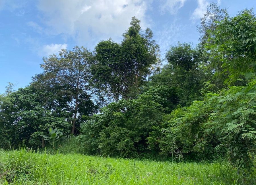 Baras, Rizal