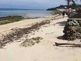 White sand Daanbantayan Lot for sale