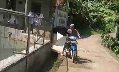 jual tanah kebun luas murah