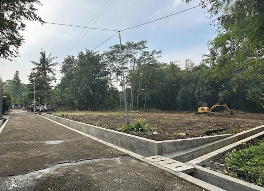 place photo 1