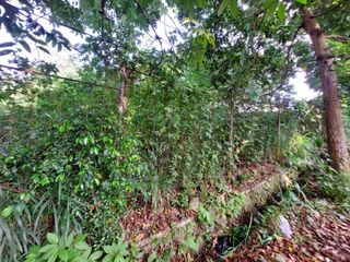 Tanah Persegi Panjang Sayap Ciumbuleuit