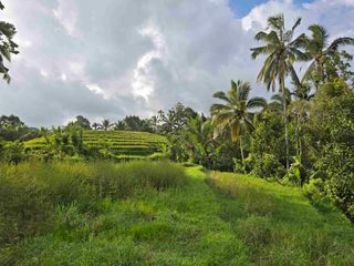 Dijual tanah kebun dan sawah view sawah dan lembah di tabanan bali