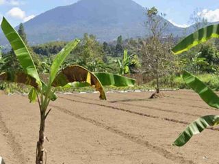 Tanah Kebun View Gunung di Baturiti dekat Bedugul Bali