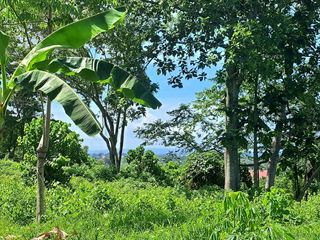 Overlooking Residential Lot for Sale in Talomo, Davao City