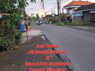 jual tanah 49,9 are raya kapal munggu