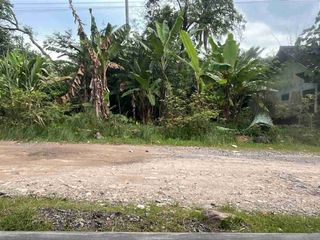 tanah 1,1 hektar di candimas natar