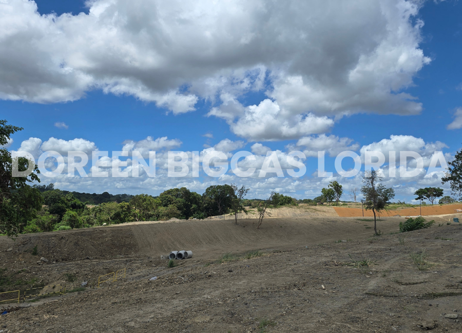 Lantic, Carmona, Cavite image 3