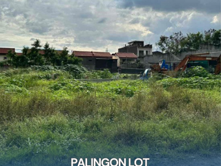 Commercial Lot for Sale in Palingon Lot, Taguig City