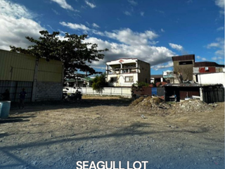 Commercial Lot for Sale in Seagull Lot, Taguig City