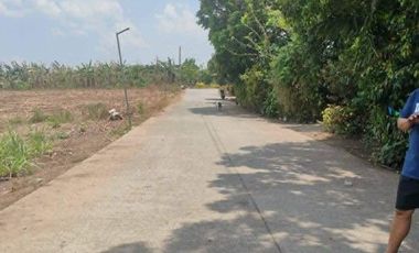 42 Hectares Lot for Sale in Magallanes Cavite