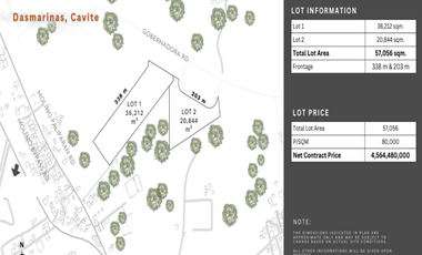 57,056 Commercial Lot for Sale in Dasmarinas Cavite