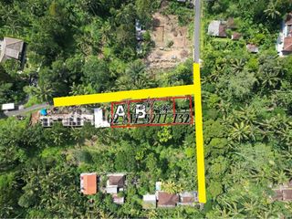 Dijual Tanah SHM Pinggir Jalan Raya 2 Are di Br. Sema Payangan Ubud Bali